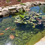 Cantinho D'aldeia - Jacuzzi Holiday home