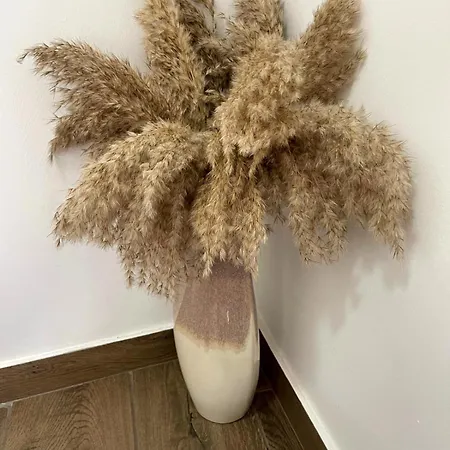 Cantinho D'aldeia - Jacuzzi Nyaraló *