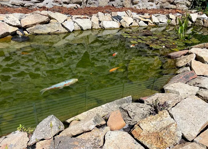 Cantinho D'aldeia - Jacuzzi Feriehus Guarda