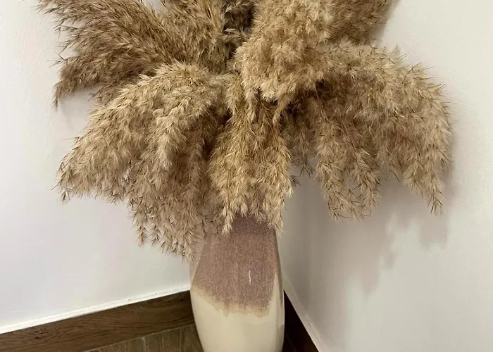 Cantinho D'aldeia - Jacuzzi Feriehus *